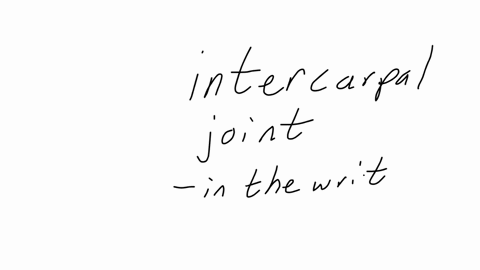the-intercarpal-joints-are-1-condyloid-joints-2-synchondroses-3-plane-joints-4-hinge-joints