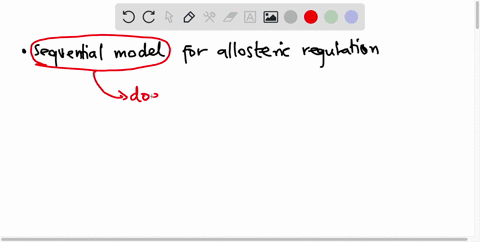 does-the-sequential-model-for-allosteric-regulation-suggest-that-the-tight-conformation-binds-to-substrates-less-tightly-39727