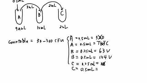 the-following-dilutions-were-made-from-a-sample-of-juice-from-the-original-sample-01-ml-was-transferred-to-99-ml-of-sterile-diluent-and-labelled-tube-a-from-tube-a-3-ml-was-transferred-to-12-85434