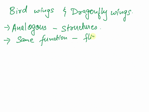 bird-wings-and-dragonfly-wings-are-both-used-for-flight-is-it-homologous-structure-or-analogous-structure-40135