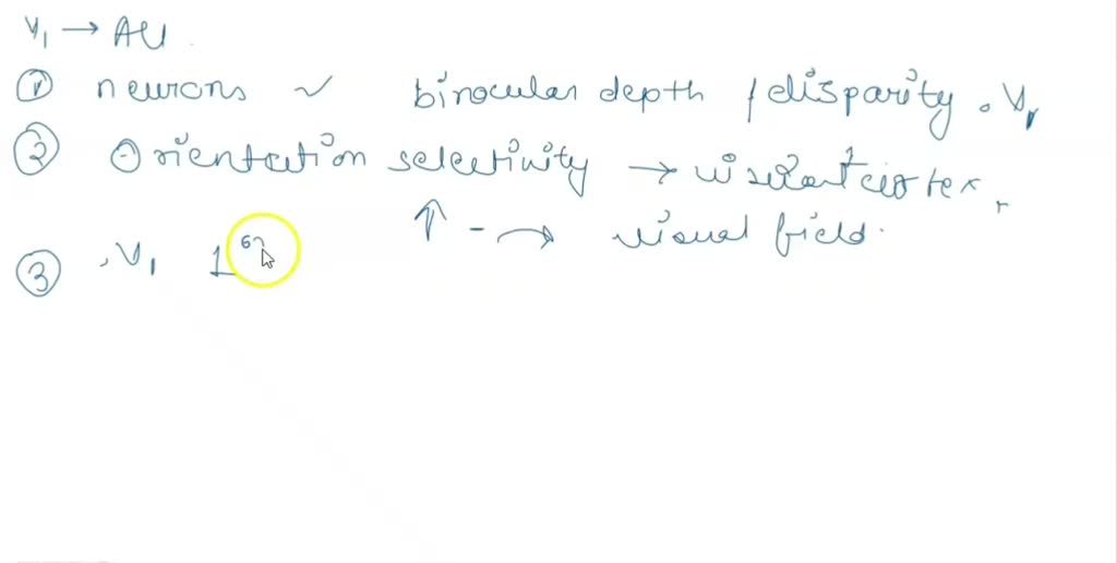 SOLVED Features of the primary visual cortex (V1) include (select all