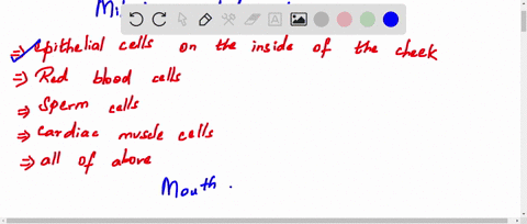 which-of-these-cells-would-undergo-mitosis-at-a-rapid-rate-epithelial-cells-on-the-inside-of-the-cheek-red-blood-cells-sperm-cells-cardiac-muscle-cells-all-of-the-above-56033