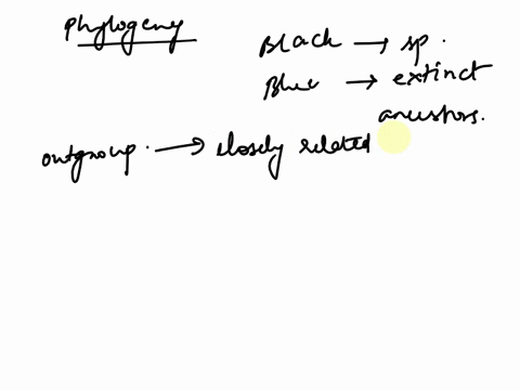 questions-4-6-will-focus-on-the-example-phylogeny-below-this-phylogeny-is-simplification-that-uses-made-up-animals-each-black-letter-refers-to-species-each-blue-letter-represents-an-extinct-87525