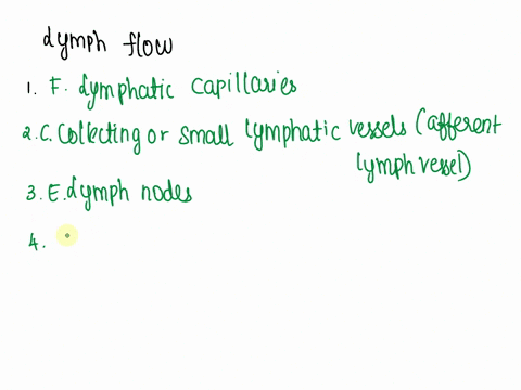 indicate-the-correct-order-of-lymph-flow-through-the-lymphatic-system-ending-at-the-heart-aremaining-interstitial-fluid-b-junction-between-the-left-jugular-and-subclavian-vein-c-collecting-o-42816