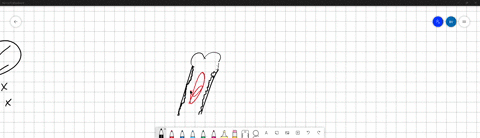 the-area-of-a-bone-where-the-nutrient-foramen-passes-forms-what-kind-of-bone-marking-a-a-hole-b-a-fa-46272