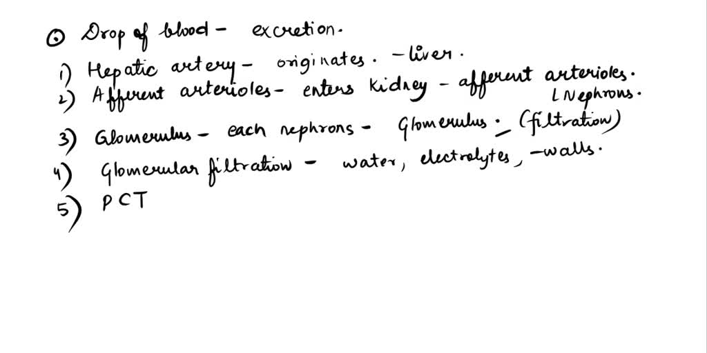 SOLVED Think about the formation of urine. Imagine that you are