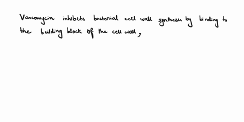 what-is-the-difference-in-how-the-antibiotic-vancomycin-works-and-how-other-b-lactam-like-penicillin-antibiotics-work-how-could-an-infection-like-mrsa-become-resistant-to-vancomycin-i-know-t-05293