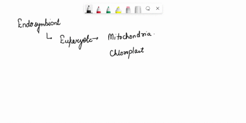 list-the-rationale-behind-the-hypothesis-that-chloroplasts-mitochondria-are-thought-to-have-evolved-from-a-symbiosis-between-prokaryotic-organisms-and-early-eukaryotes-provide-evidence-suppo-87721