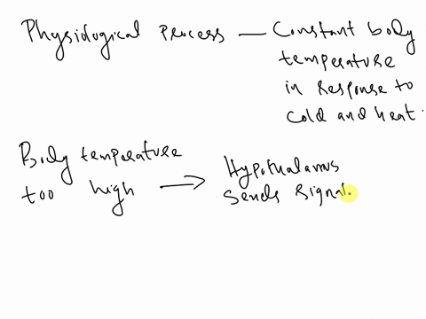 explain-the-physiological-processes-involved-in-maintaining-a-constant-body-temperature-in-response-to-cold-and-heat-what-are-the-sensors-cells-that-detect-the-change-and-effectors-cells-tha-23346