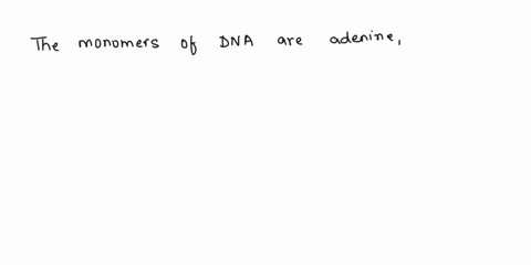 question-3-the-monomers-of-dna-are-the-nucleotides-adenine-uracil-guanine-and-cytosine-the-nucleotides-adenine-thymine-guanine-and-cytosine-the-amino-acids-lysine-alanine-arginine-and-glutam-66221