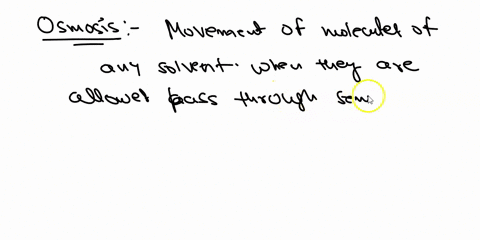 13-1point-which-of-the-following-accurately-describes-osmosis-the-water-flows-from-the-more-concentrated-side-to-the-less-concentrated-side-the-ions-flow-from-the-less-concentrated-side-to-t-56914