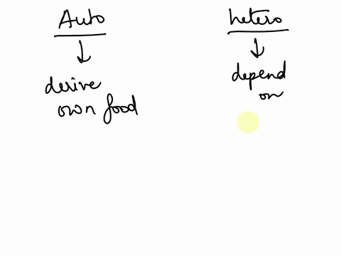 1-describe-the-difference-between-heterotrophs-and-autotrophs-and-provide-an-example-of-each-2-list-the-main-types-of-photosynthetic-autotrophs-3-list-some-benefits-of-photosynthetic-organis-58514