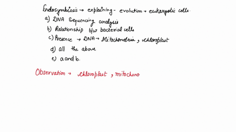 the-endosymbiosis-hypothesis-explaining-the-evolution-of-eukaryotic-cells-is-supported-by-a-dna-sequ-77742