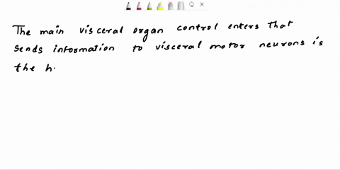 8-what-cns-structure-is-the-main-visceral-organ-control-center-that-sends-information-to-visceral-motor-neurons-thalamus-cerebellum-pituitary-cerebral-hemispheres-hypothalamus-9what-causes-v-56276