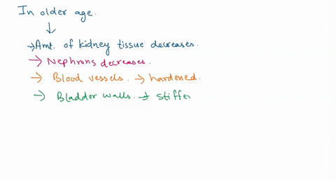 the-nurse-in-planning-care-for-an-older-adult-client-takes-into-consideration-the-changes-in-kidney-function-which-are-related-to-age-those-changes-are-select-all-that-apply-wider-urinary-bl-26195