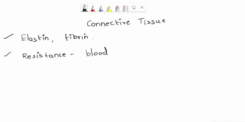 which-connective-tissue-is-uniquely-found-in-large-blood-vessels-such-as-the-aorta-14043