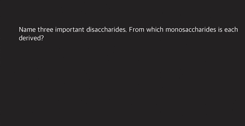 name-three-important-disaccharides-from-which-monosaccharides-is-each-derived-3-85173
