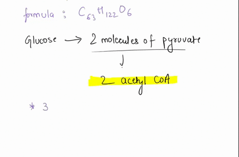 1-calculate-the-number-of-atps-generated-by-the-complete-metabolic-oxidation-of-triarachidin-triarachidoylglycerol-hydrolysis-of-the-triacylglycerol-occurs-at-the-cell-surface-consider-the-e-64962