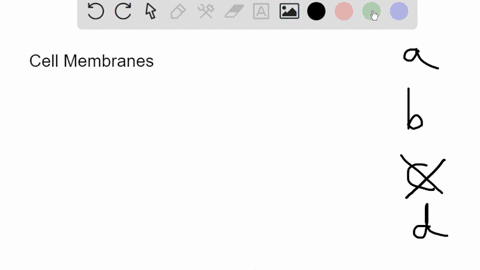 finisn-alempt-question-14-not-yet-answered-which-macronutrient-helps-form-the-primary-component-of-cell-membranes-select-one-marked-out-of-100-carbohydrate-b-fat-flag-question-air-protein-41427