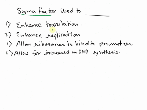 question-1-sigma-factor-is-used-to-choose-all-that-apply-enhance-translation-enhance-replication-allow-ribosomes-to-bind-to-promoters-allow-for-increased-mrna-synthesis-80045