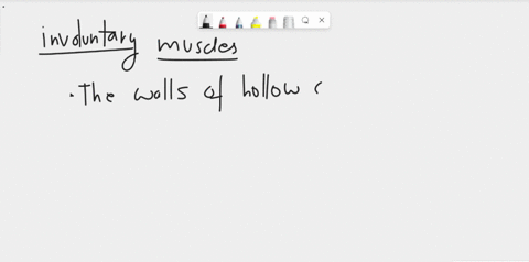 which-type-of-involuntary-muscle-is-found-in-the-walls-of-hollow-organs-such-as-the-stomach-and-in-the-walls-of-blood-vessels-select-one-a-cardiac-muscle-b-skeletal-muscle-c-smooth-muscle-d-95337