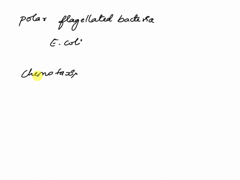 which-of-the-following-description-of-chemotaxis-is-correct-for-polar-forms-attractant-starts-counterclockwise-rotation-of-flagellum-a-run-loss-of-stimulus-reverses-direction-of-flagellum-ba-65939