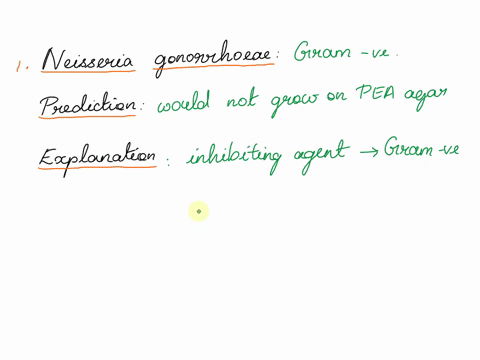 suppose-you-were-working-with-two-pathogenic-cocci-neisseria-gonorrheae-and-streptococcus-pyogenes-predict-for-each-bacteria-if-it-would-grow-or-not-grow-on-pea-phenyl-ethyl-alcohol-agar-exp-44211