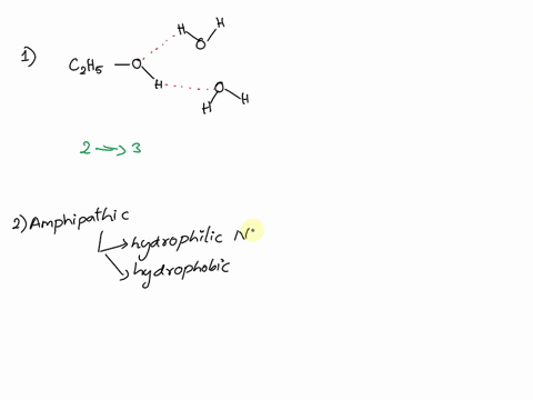 what-is-the-maximum-number-of-hydrogen-bonds-can-an-ethanol-molecule-form-with-water-around-it-110-312-413-514-question-20-24-are-based-on-the-following-molecules-ho-oh-20-which-of-the-follo-27844