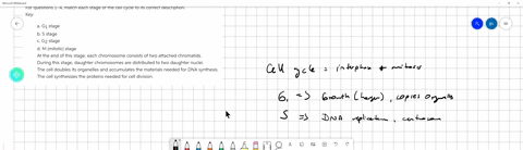 for-questions-14-match-each-stage-of-the-cell-cycle-to-its-correct-description-key-beginarraylltext-a-g_1-text-stage-text-b-s-stage-text-c-g_2-text-stage-text-d-mtext-mitotic-text-stage-endarray-at-th