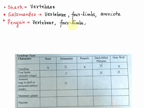 i-need-this-chart-to-be-filled-out-with-xs-for-the-characteristics-that-each-animal-has-thank-you-q1-given-the-characteristics-and-taxa-shown-below-2-pts-fill-in-the-table-below-with-an-x-in-60772