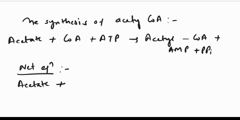 the-g-for-the-hydrolysis-of-acetyl-coa-to-acetate-and-coa-is-322-kjmol-and-that-for-hydrolysis-of-atp-to-amp-and-ppi-is-305-kjmol-calculate-g-for-the-atp-dependent-synthesis-of-acetyl-coa-79663