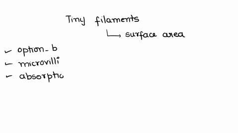 tiny-projections-called-______-increase-the-surface-area-of-a-brush-border-cell-a-villi-b-microvilli-64254