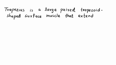 a-box-containing-a-particle-is-divided-into-a-right-and-a-left-compartment-by-a-thin-partition-if-the-particle-is-known-to-be-on-the-right-left-side-with-certainty-the-state-is-represented-b-49053