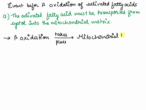 what-must-take-place-before-an-activated-fatty-acid-undergoes-oxidation-14-what-must-take-place-before-an-activated-fatty-acid-undergoes-oxidation-a-the-activated-fatty-acid-must-be-transpor-55938