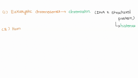 sister-chromatin-eukaryotic-chromosomes-are-composed-of-a-combination-of-both-dna-and-structural-proteins-these-structural-proteins-are-called-histones-92-a-typical-human-chromosome-contains-25214