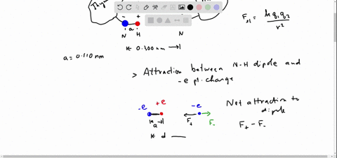 the-two-sides-of-the-dna-double-helix-are-connected-by-pairs-of-bases-adenine-thymine-cytosine-and-guanine-because-of-the-geometric-shape-of-these-molecules-adenine-bonds-with-thymine-and-cytosine-b-2