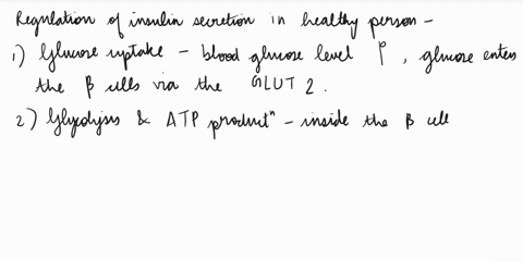 beta-cells-in-the-pancreas-produce-insulin-and-secrete-it-in-response-to-high-blood-glucose-levels-in-individuals-with-type-ii-diabetes-mellitus-part-of-the-early-pathology-is-a-decrease-in-05984