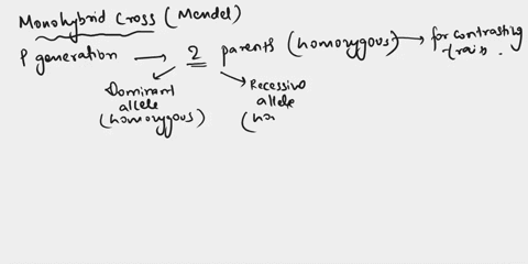 question-11-1-point-ina-monchybrid-cross-such-as-mendel-performed-dominant-and-one-recessive-the-with-a-character-that-has-two-p-generation-consists-of-traits-one-feale-individuals-that-are-45708