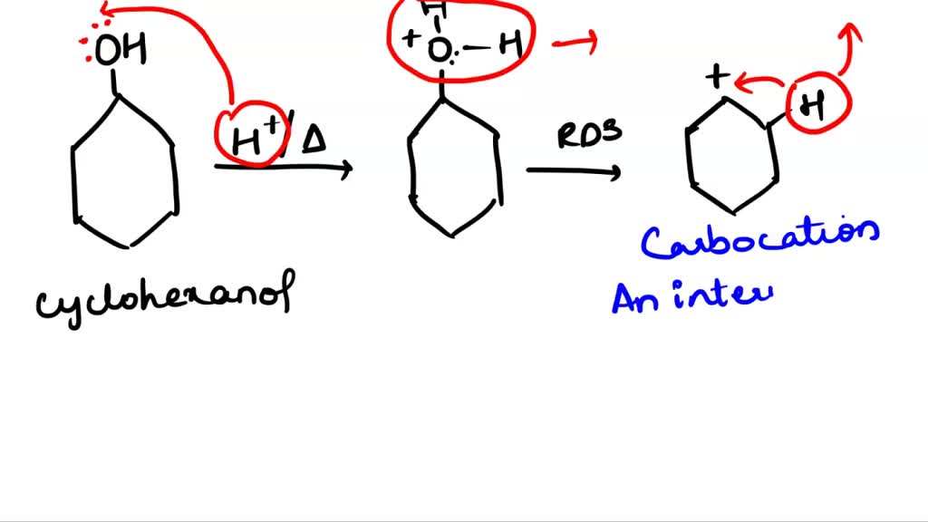 SOLVED Draw A Flow Diagram Showing The Synthesis Of A 4 Methylcyclohexane By Acid Catalyzed