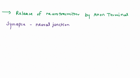 transmission-of-nerve-impulse-across-the-synapse-is-accomplished-by-_-poin-release-of-neurotransmitter-by-the-cell-body-saltatory-conduction-release-of-neurotransmitter-by-an-axon-terminal-r-14476