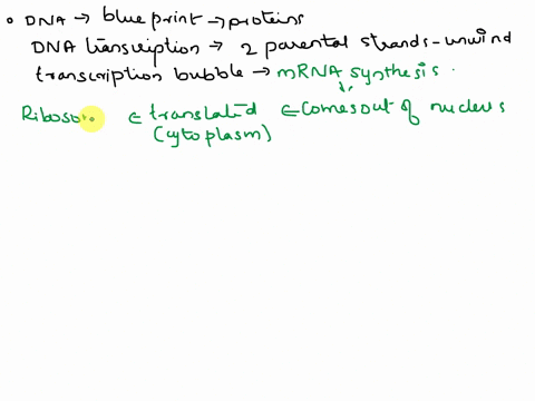 please-answer-the-below-questions-only-if-you-are-certain-explain-how-the-dna-sequence-determines-the-composition-of-the-cells-proteins-describe-the-impact-of-different-types-of-mutations-si-75102