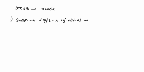 how-do-smooth-muscle-and-cardiac-muscle-differ-from-skeletal-muscle-85959