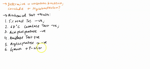 determining-an-unknown-bacteria-do-these-results-give-conclude-to-mycobacterium-smegmatis-need-help-making-a-flow-chart-as-well-differential-test-results-gram-positive-catalase-positive-urea-33648