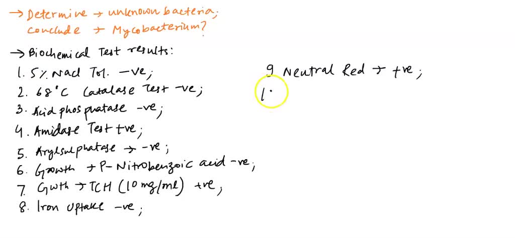 SOLVED: Determining an unknown bacteria. Do these results give conclude ...