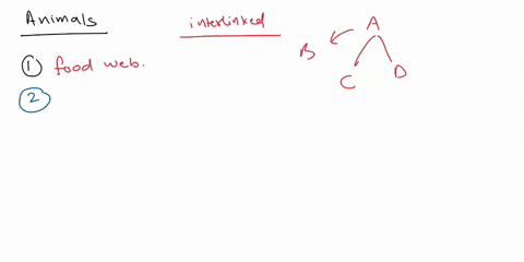 does-ihe-picture-represent-a-food-chain-or-a-food-web-web-list-the-producers-what-type-of-consumer-secondary-tertiary-or-primary-is-krill-what-type-of-consumer-secondary-tertiary-or-primary-88484