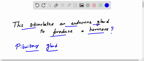 what-stimulates-an-endocrine-gland-to-produce-a-hormone-36144
