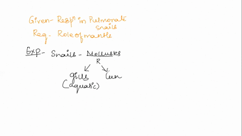 tlre-mantle-cavity-0fa-pulmonate-snail-is-used-muliple-choice-fcr-propulslon_-0-produce-pearls-lung-t3-store-wasizs-nl-cf-the-cholces-are-ccrrect-functlons-30552