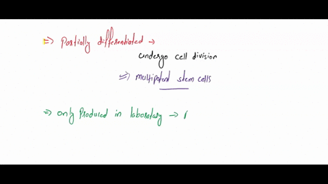 match-the-following-are-considered-partially-differentiated-but-will-continue-t0-undergo-cell-division_-choose-choose-niche-cells-multipotent-stem-cells-pluripotent-stem-cells-totipotent-ste-53876