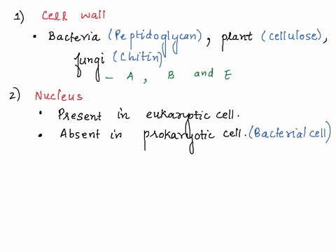bacterial-cell-b-plant-cell-animal-cell-d-protist-cell-fungal-cell-1-state-the-letters-of-any-type-of-cell-that-has-a-cell-wall-2-state-the-letters-of-any-type-of-cell-that-has-a-nucleus-3-s-94895