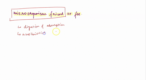 how-would-you-convince-a-friend-that-microorganisms-are-much-more-than-just-agents-of-disease-66233